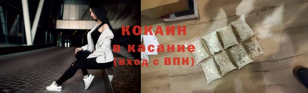 твердый Алексин