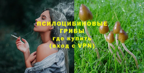 скорость Алзамай
