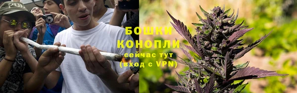 сатива Абдулино