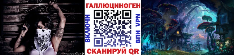 shop состав  Злынка  Псилоцибиновые грибы GOLDEN TEACHER 