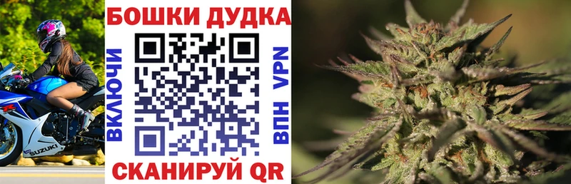 Бошки марихуана индика  наркотики  Злынка 